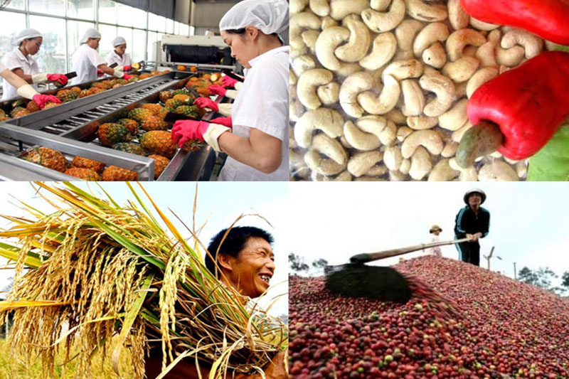 export-turnover-of-key-agricultural-products-increased-627-million